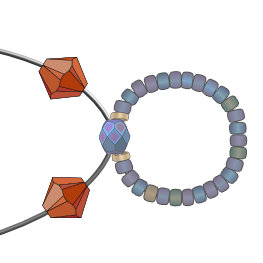 Swarovski Crystal Circles Bracelet Instructions